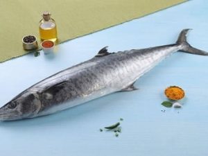 Kingfish / سمك كنعد / Seer Fish (Medium) (2kg+)